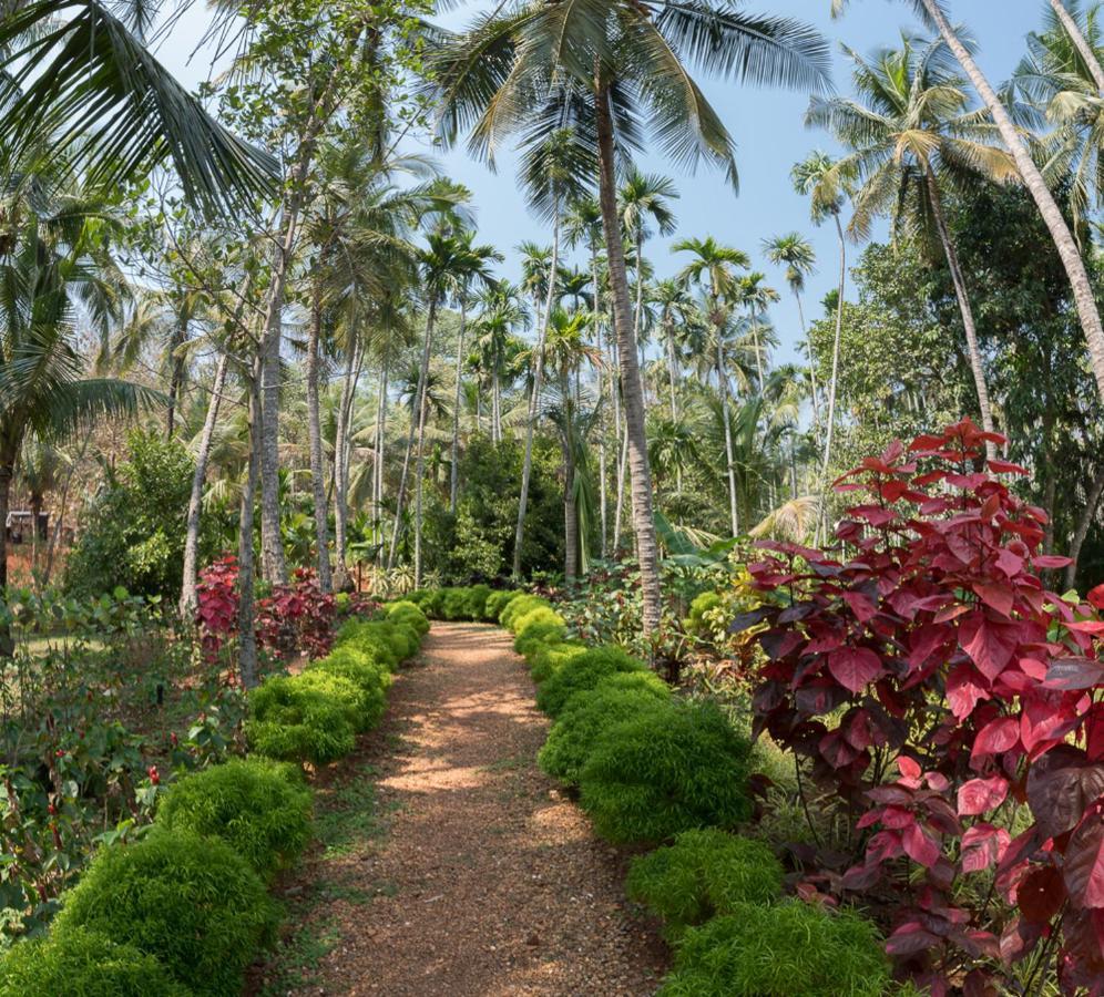 Kahani Paradise Gokarna  Exterior photo